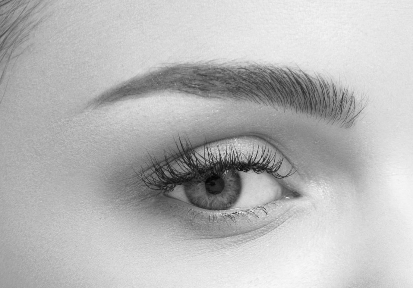 greffe de sourcils lyon prix